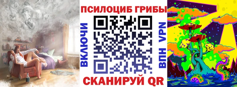 Псилоцибиновые грибы мицелий  где купить наркоту  Вязьма 